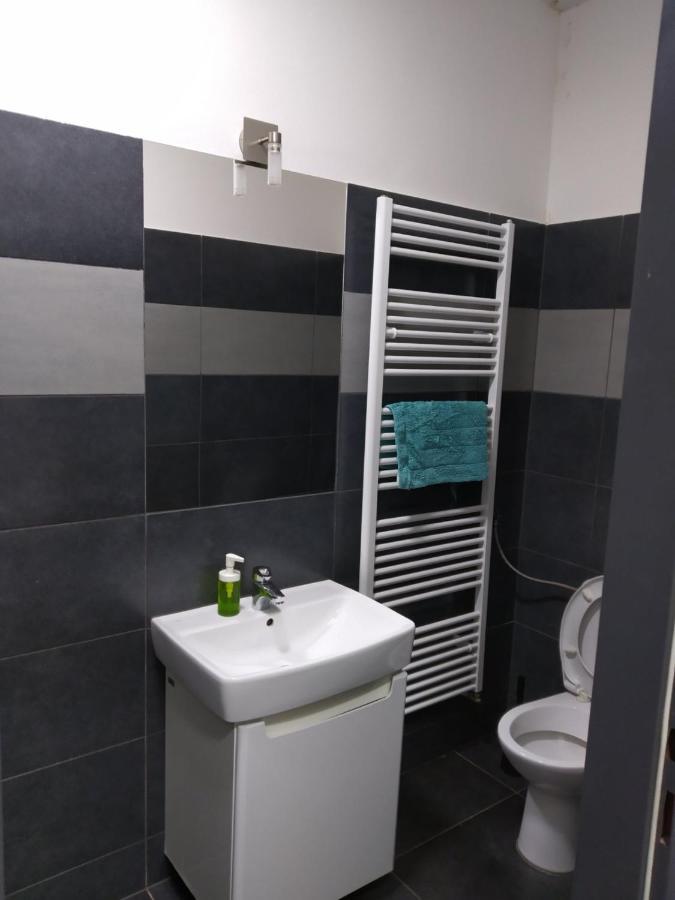 Apartmans In The Center With Privat Parking Apartment Brno Exterior photo